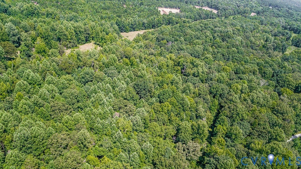 01 Chimney Springs Drive, Hadensville, Goochland, VA 23063 Expansive wooded acreage featuring dense tree coverage