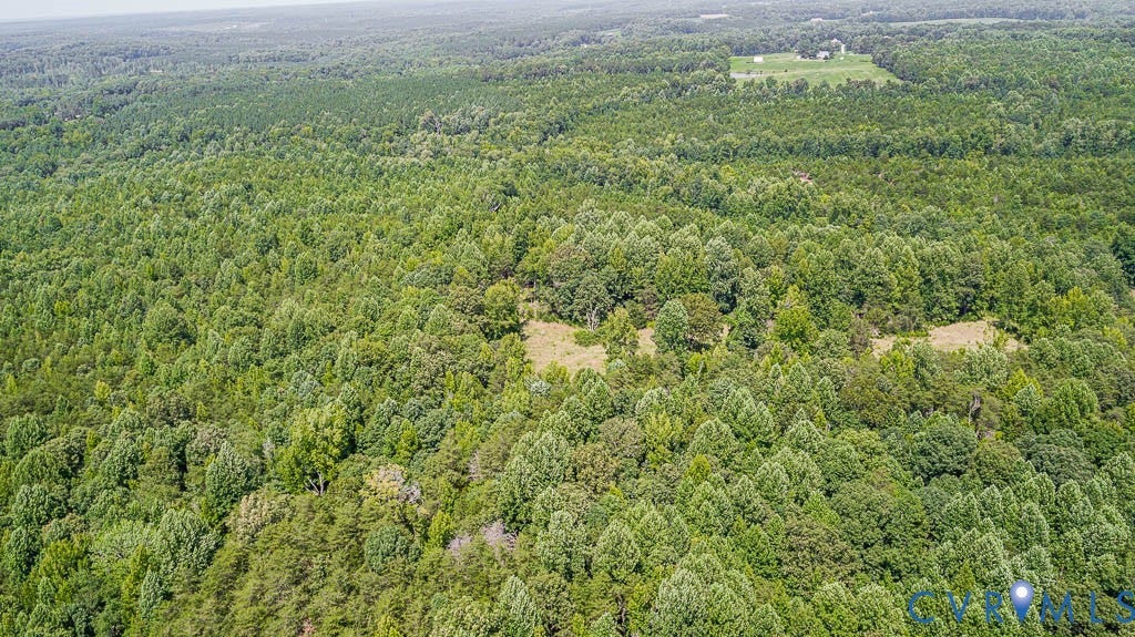 01 Chimney Springs Drive, Hadensville, Goochland, VA 23063 Expansive wooded acreage with a distant structure and clearing