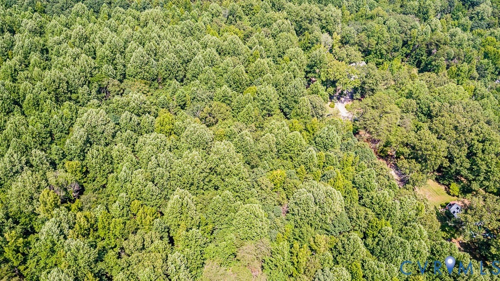 01 Chimney Springs Drive, Hadensville, Goochland, VA 23063 Wooded landscape with mature trees