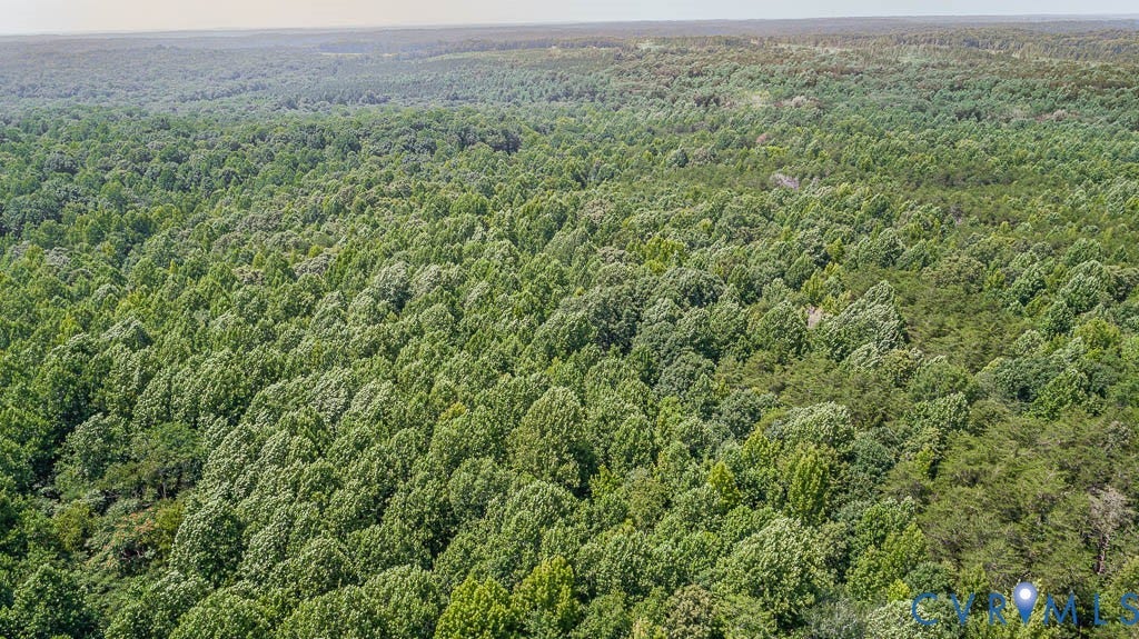 01 Chimney Springs Drive, Hadensville, Goochland, VA 23063 Expansive wooded acreage featuring mature trees and lush green foliage