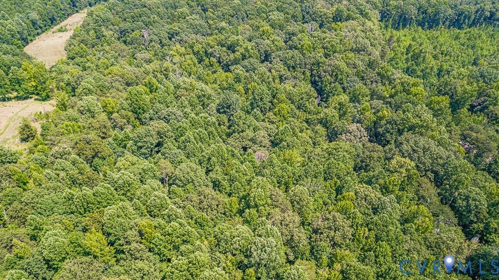 01 Chimney Springs Drive, Hadensville, Goochland, VA 23063 Expansive woodland with mature trees and a cleared area