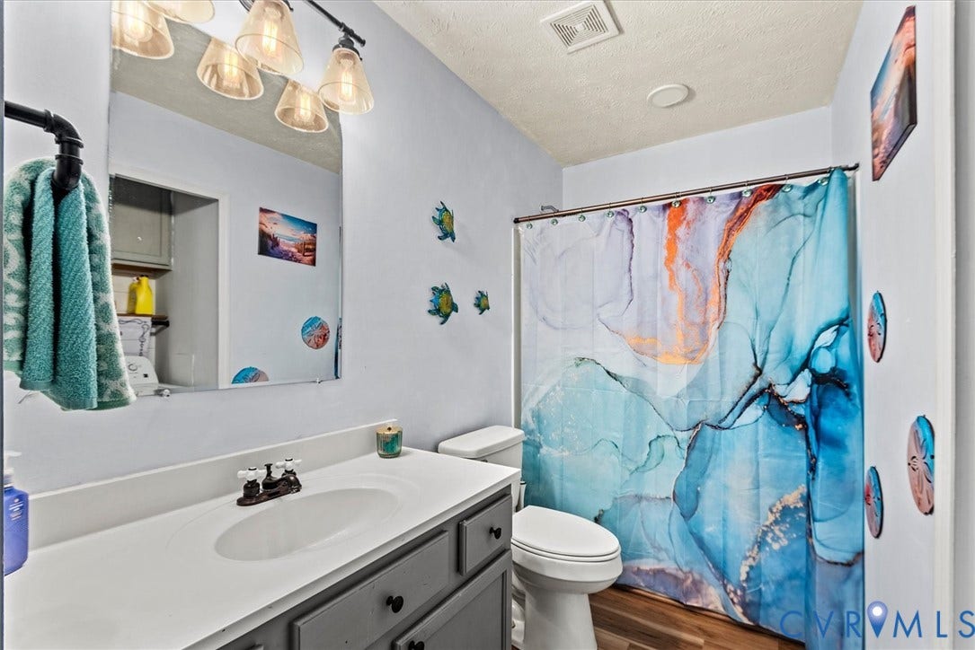 2421 Pittston Road, Ruffin's Pond, Fredericksburg, VA 22408 Vanity with an integrated sink and base cabinetry, wall-mounted mirror, and overhead light fixture