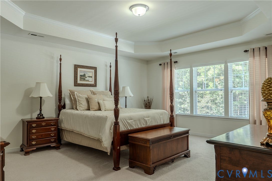 Tray ceiling with crown molding, neutral carpeting, and large multi-pane windows