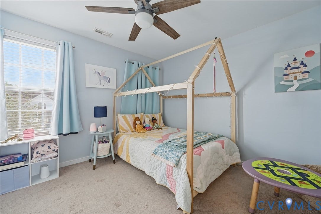 3912 Houze Terrace, Spring Lake, Henrico, VA 23060 Spacious primary bedroom featuring neutral wall finishes, carpet flooring, and abundant natural light from multiple windows