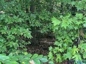 Additional content