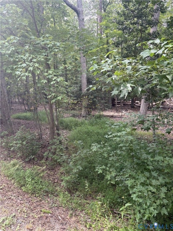 4844 Fox Lair Road, Gum Spring, VA 23065 4844 Fox Lair Road, Gum Spring, VA 23065