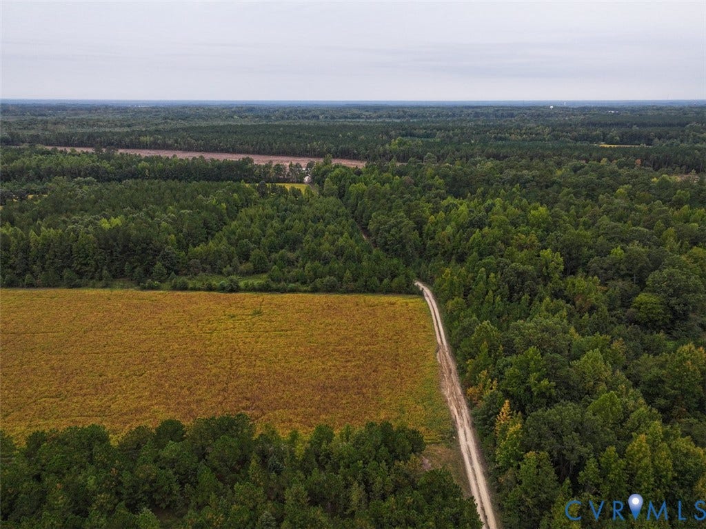 107.1125 Acres (Off Of) Blank Lane, Emporia, Emporia, VA 23847