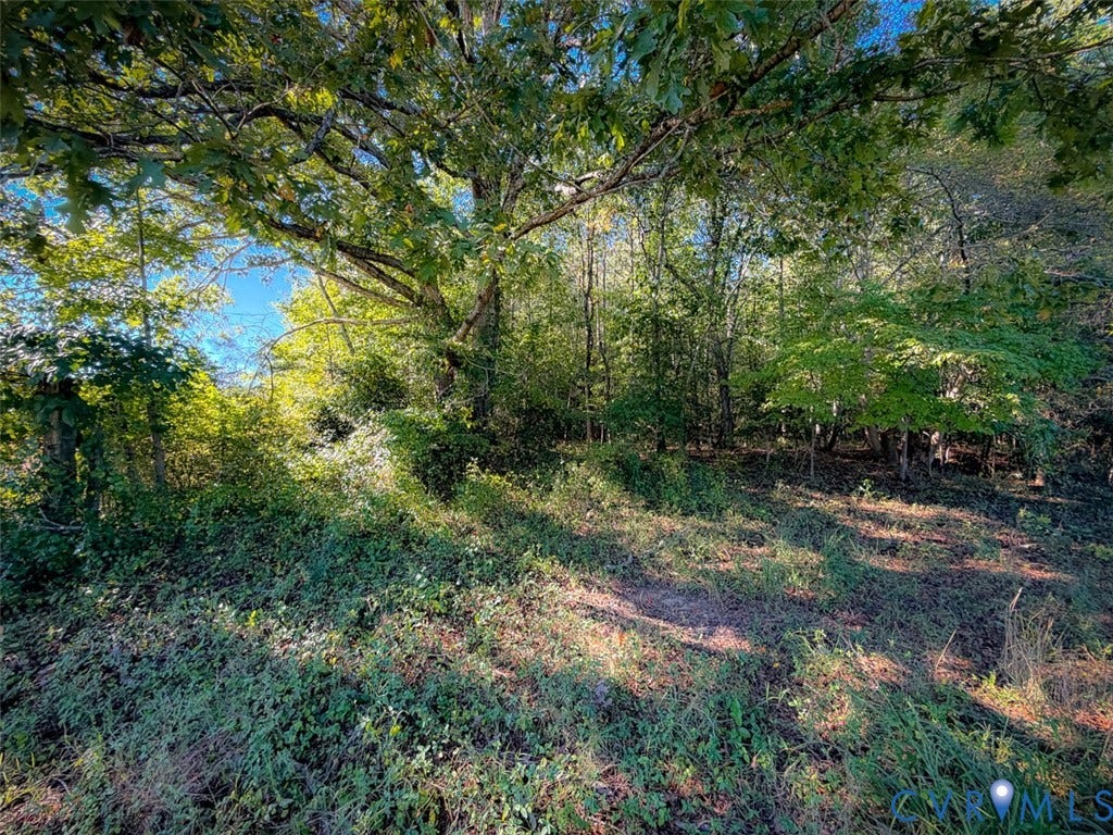 107.1125 Acres (Off Of) Blank Lane, Emporia, Emporia, VA 23847