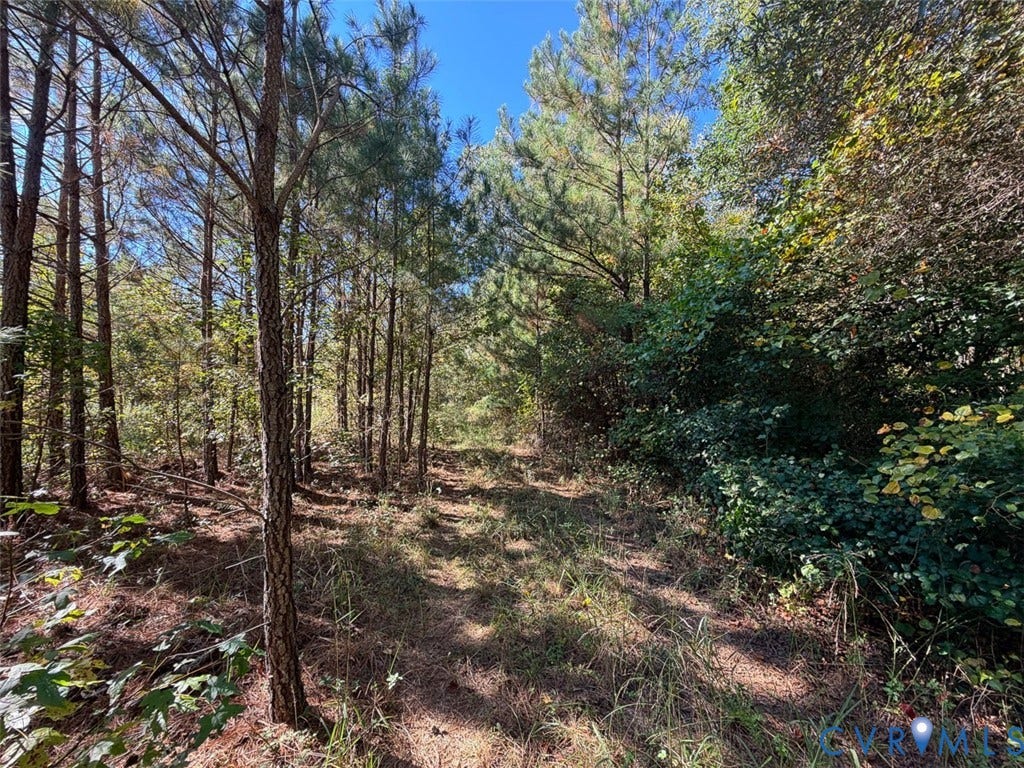 107.1125 Acres (Off Of) Blank Lane, Emporia, Emporia, VA 23847