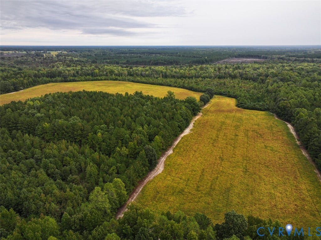 107.1125 Acres (Off Of) Blank Lane, Emporia, Emporia, VA 23847