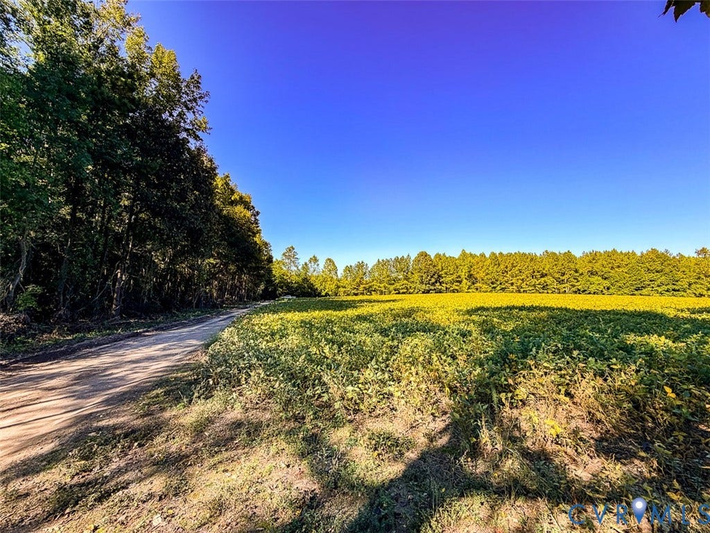 107.1125 Acres (Off Of) Blank Lane, Emporia, Emporia, VA 23847