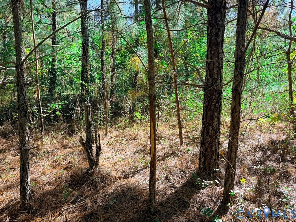 107.1125 Acres (Off Of) Blank Lane, Emporia, Emporia, VA 23847