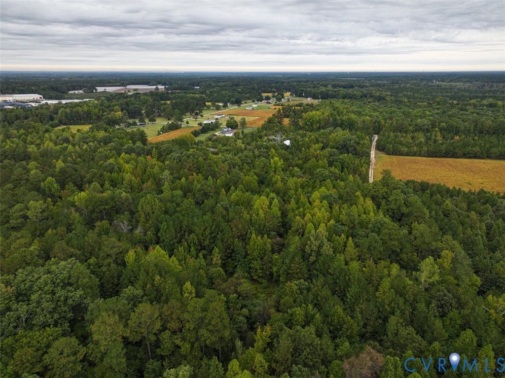 107.1125 Acres (Off Of) Blank Lane, Emporia, Emporia, VA 23847