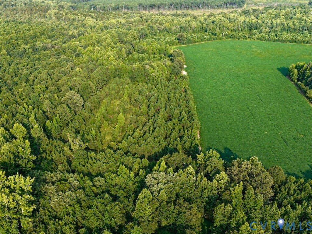107.1125 Acres (Off Of) Blank Lane, Emporia, Emporia, VA 23847