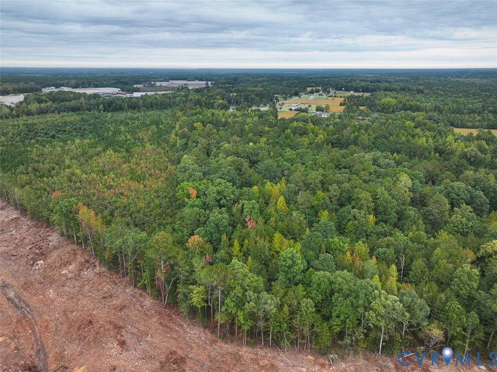 107.1125 Acres (Off Of) Blank Lane, Emporia, Emporia, VA 23847