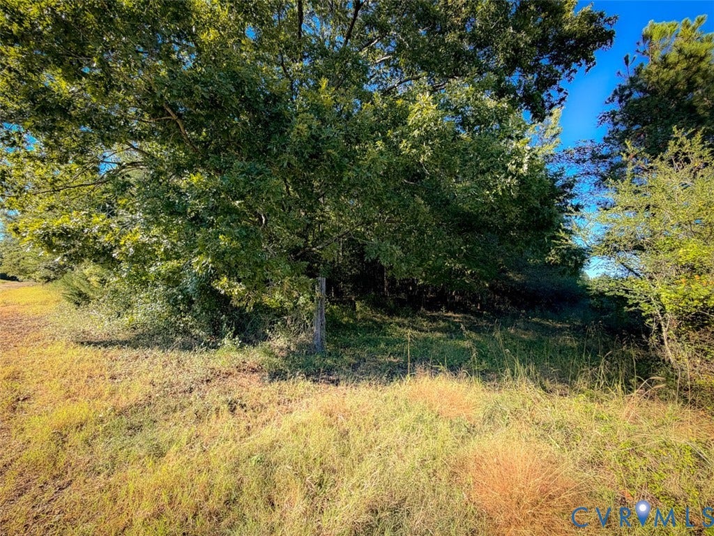 107.1125 Acres (Off Of) Blank Lane, Emporia, Emporia, VA 23847