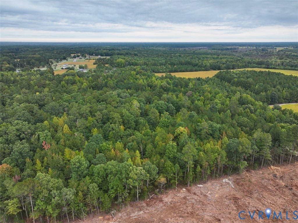 107.1125 Acres (Off Of) Blank Lane, Emporia, Emporia, VA 23847