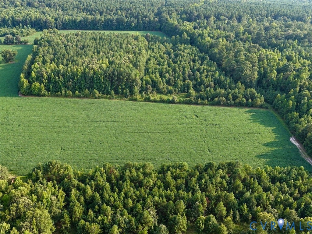 107.1125 Acres (Off Of) Blank Lane, Emporia, Emporia, VA 23847