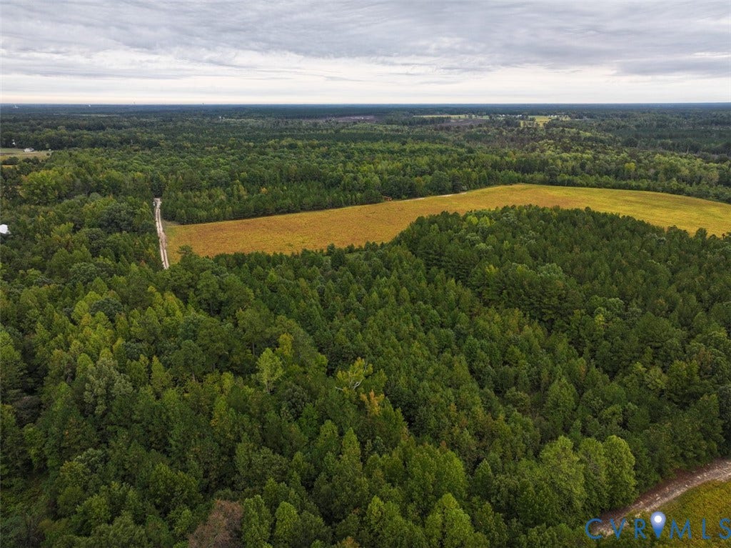 107.1125 Acres (Off Of) Blank Lane, Emporia, Emporia, VA 23847