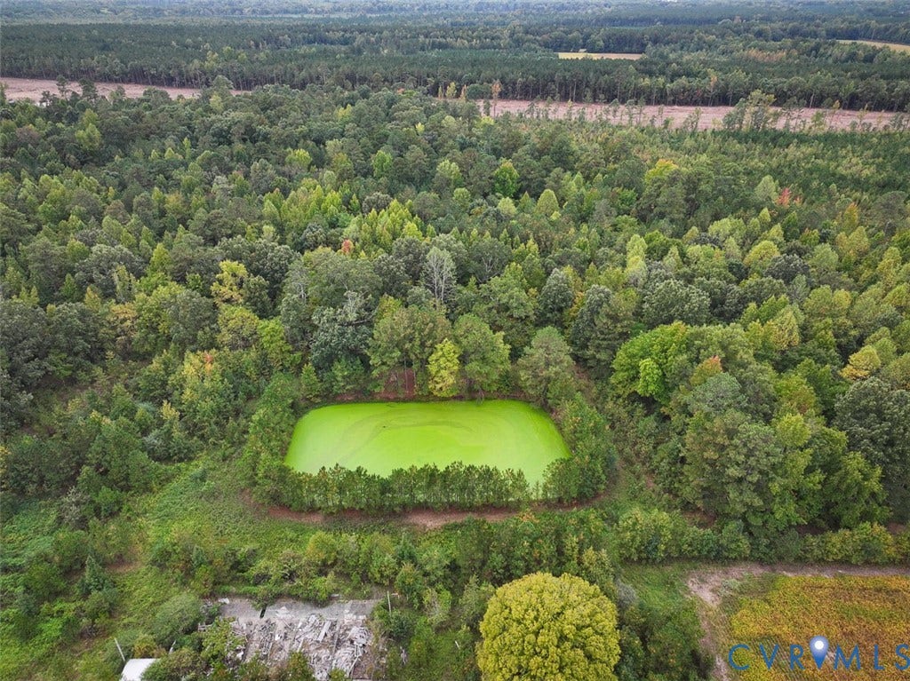 107.1125 Acres (Off Of) Blank Lane, Emporia, Emporia, VA 23847