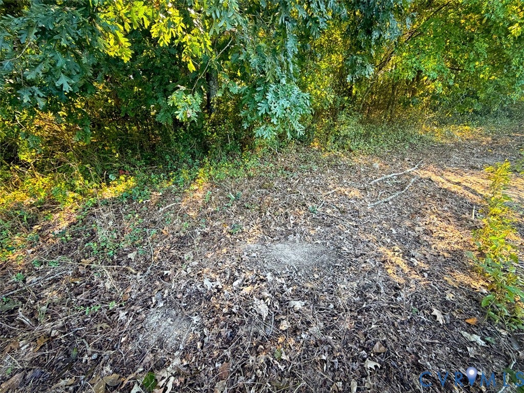 107.1125 Acres (Off Of) Blank Lane, Emporia, Emporia, VA 23847