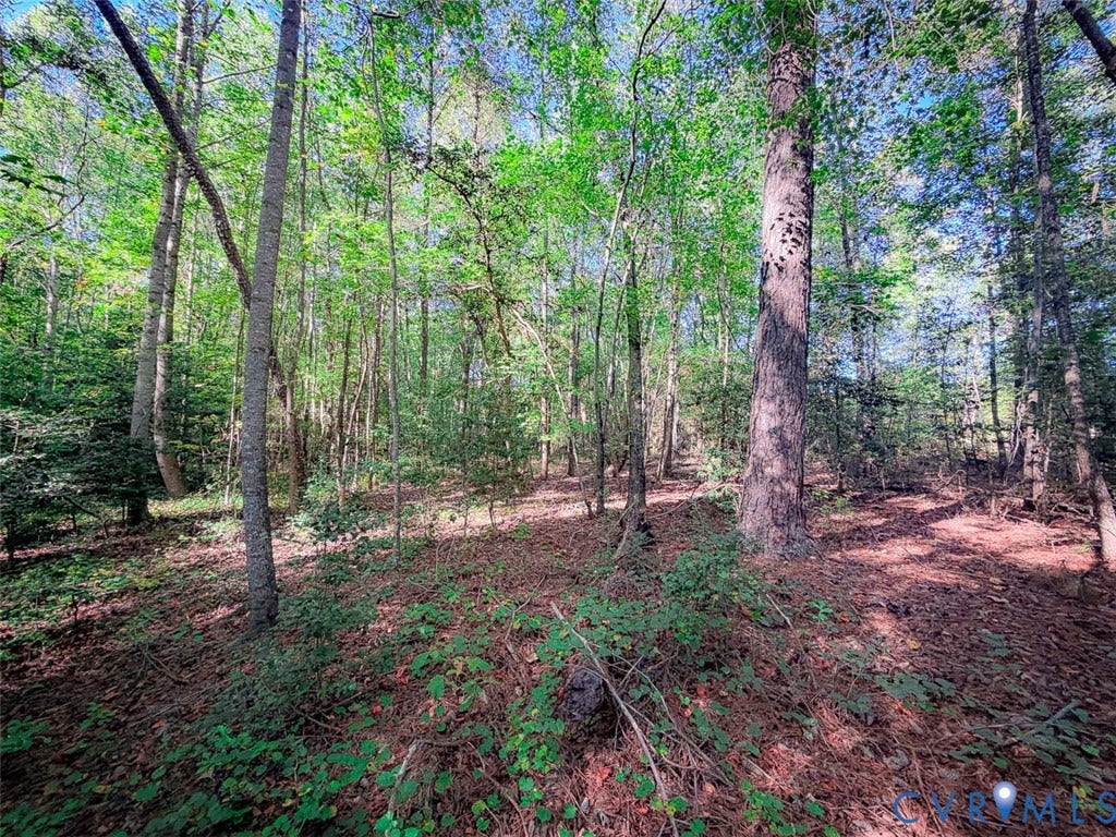 107.1125 Acres (Off Of) Blank Lane, Emporia, Emporia, VA 23847