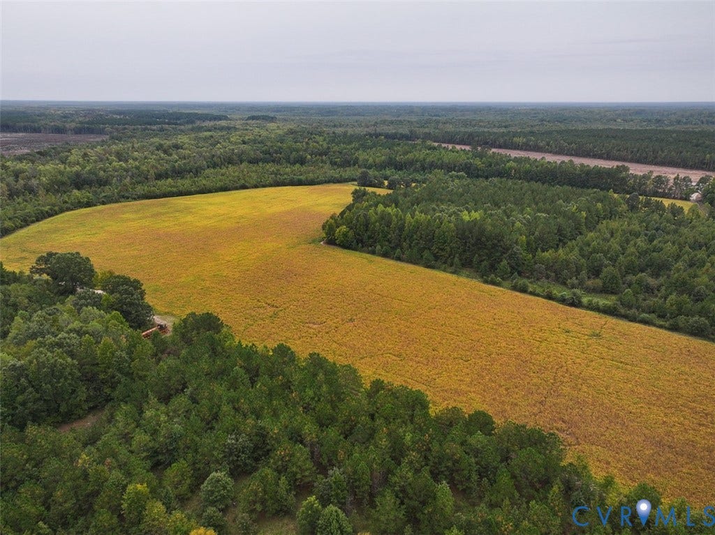 107.1125 Acres (Off Of) Blank Lane, Emporia, Emporia, VA 23847