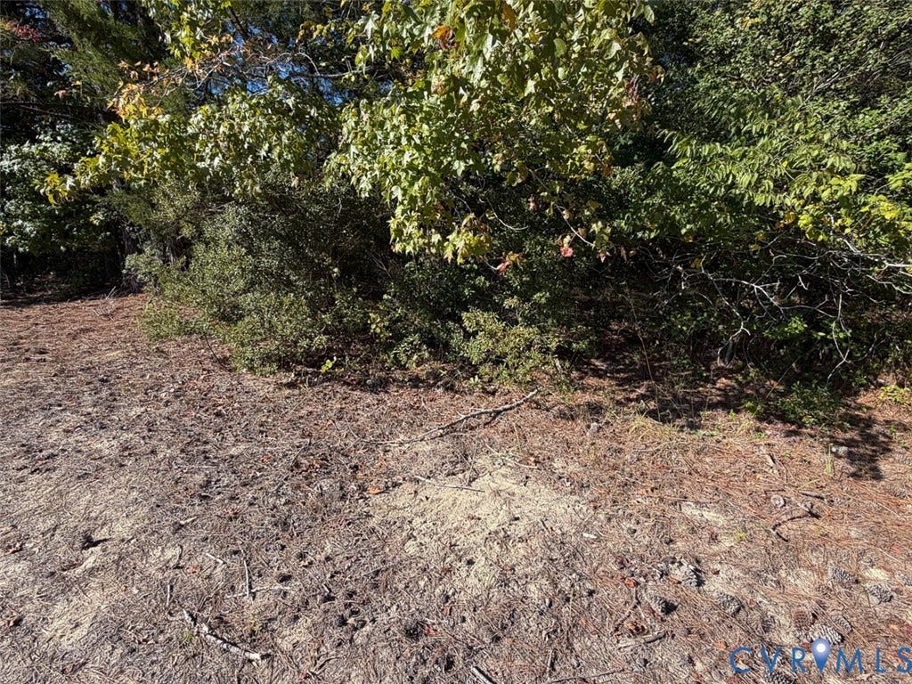 107.1125 Acres (Off Of) Blank Lane, Emporia, Emporia, VA 23847