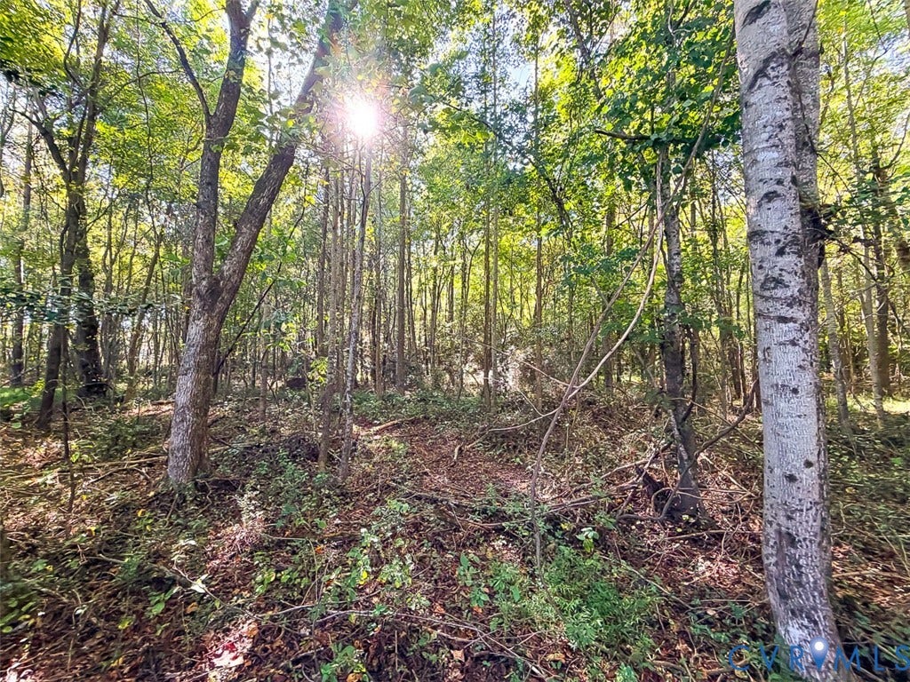 107.1125 Acres (Off Of) Blank Lane, Emporia, Emporia, VA 23847