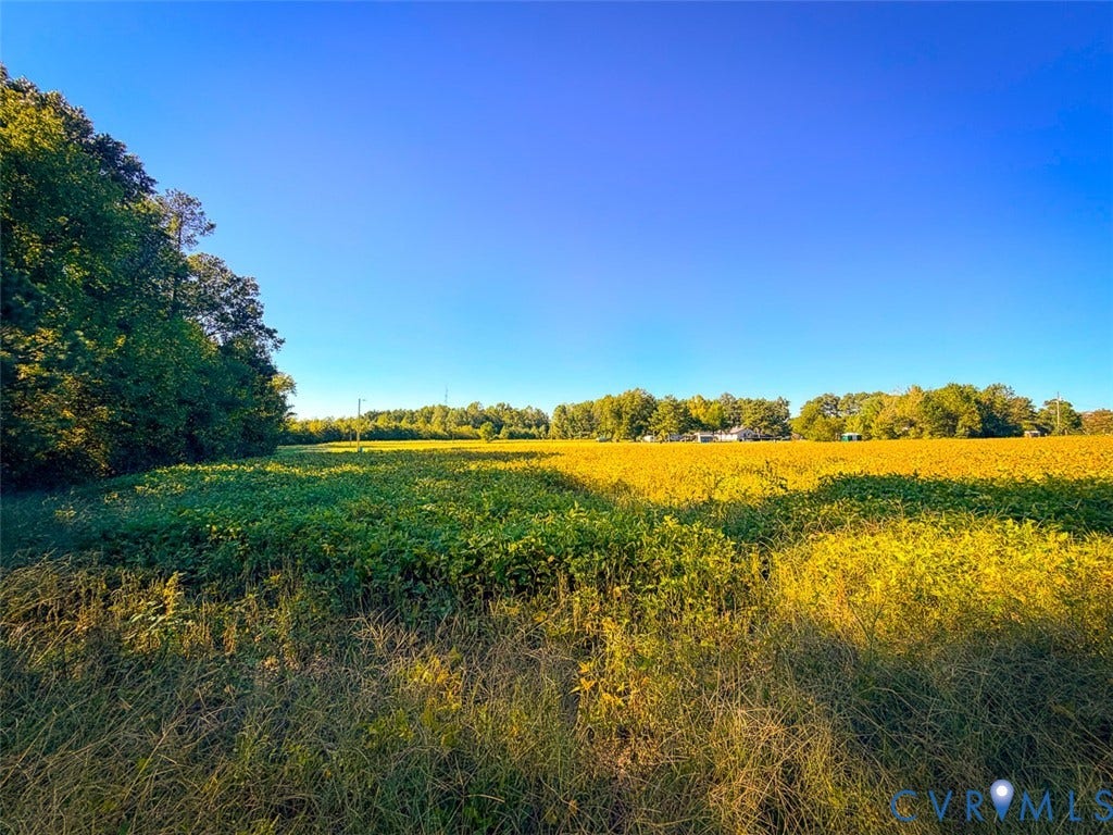 107.1125 Acres (Off Of) Blank Lane, Emporia, Emporia, VA 23847