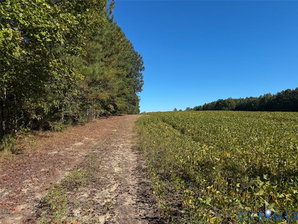 107.1125 Acres (Off Of) Blank Lane, Emporia, Emporia, VA 23847