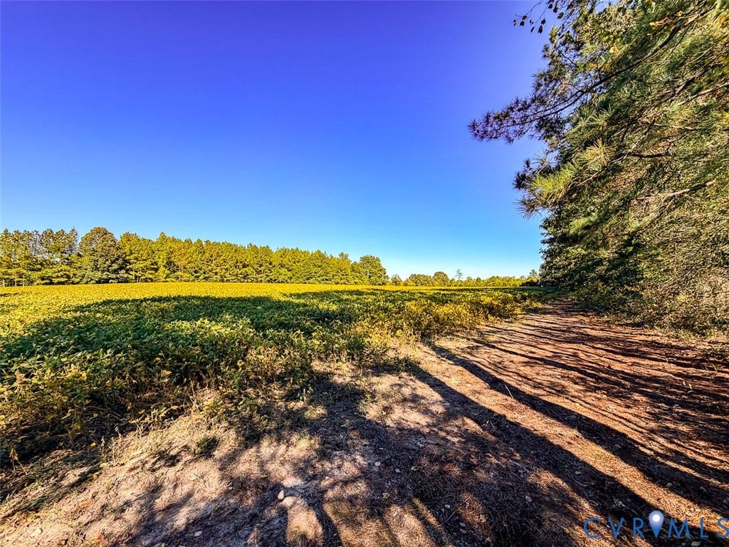 107.1125 Acres (Off Of) Blank Lane, Emporia, Emporia, VA 23847