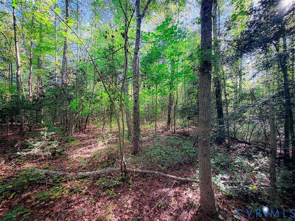 107.1125 Acres (Off Of) Blank Lane, Emporia, Emporia, VA 23847