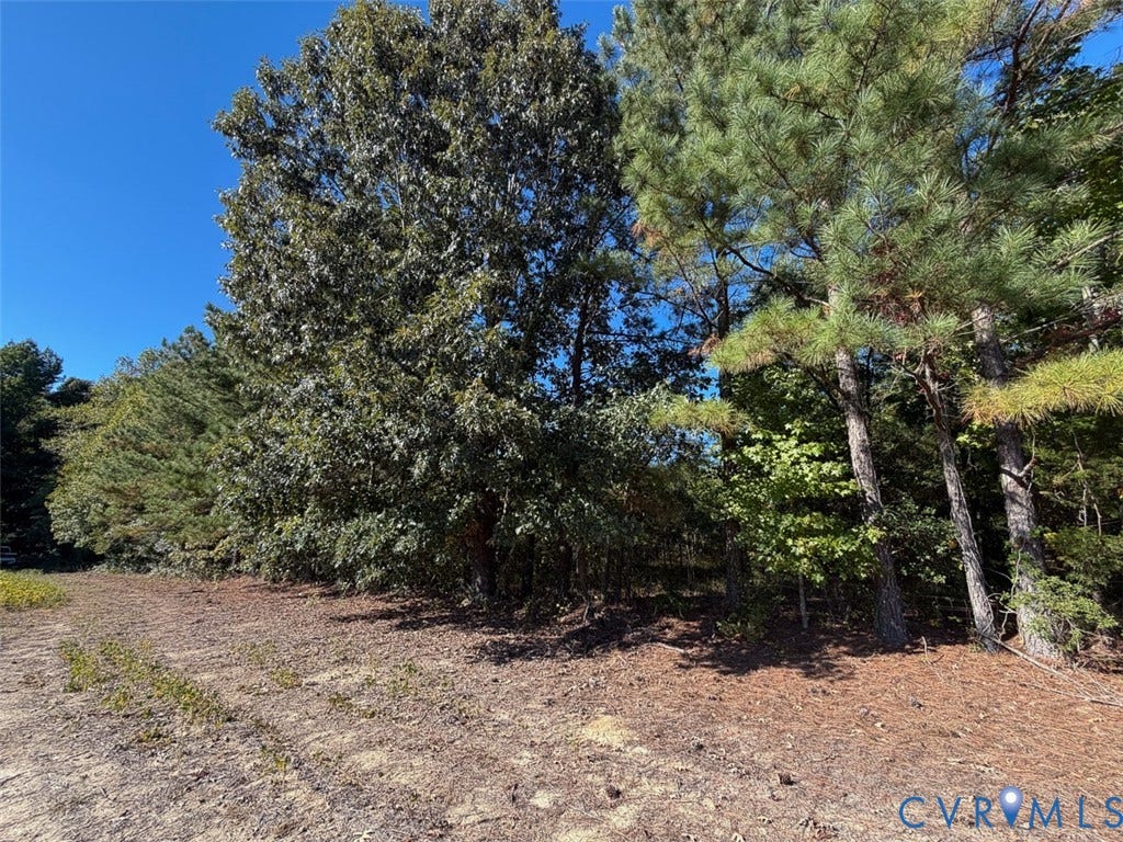 107.1125 Acres (Off Of) Blank Lane, Emporia, Emporia, VA 23847