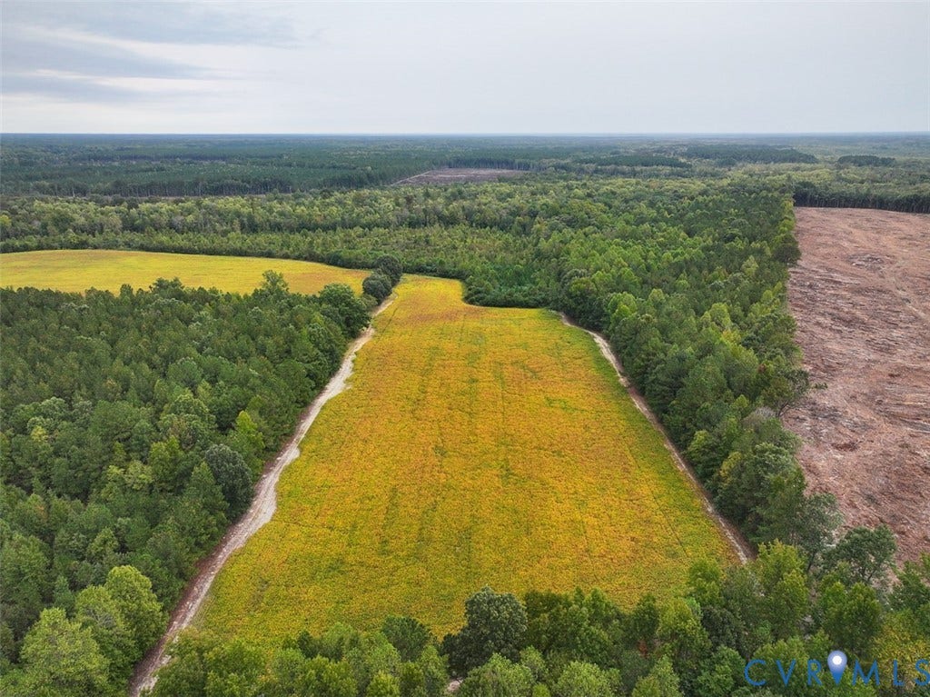 107.1125 Acres (Off Of) Blank Lane, Emporia, Emporia, VA 23847
