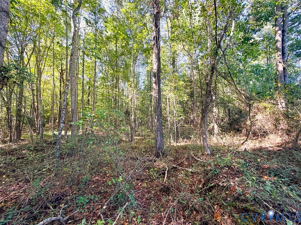 107.1125 Acres (Off Of) Blank Lane, Emporia, Emporia, VA 23847