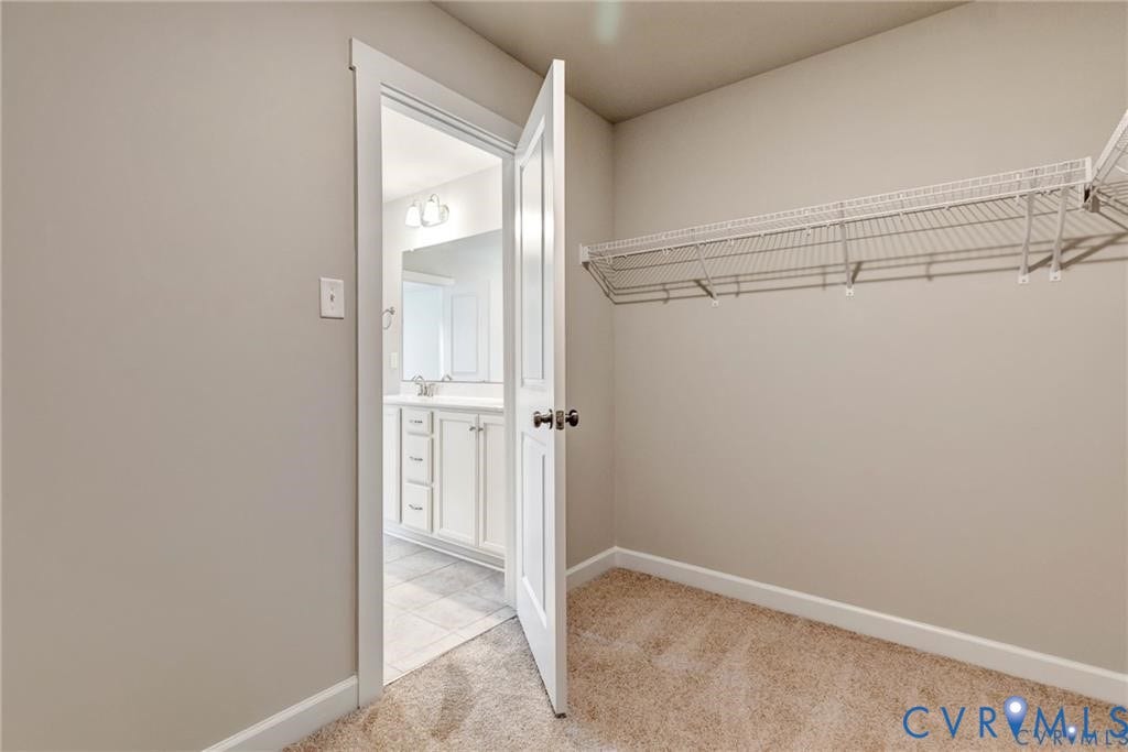 Neutral-toned walls complement the carpeted flooring