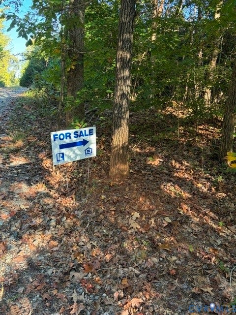 0 Hadensville Fife Road, Goochland, VA 23063 Potential driveway off gravel drive.
