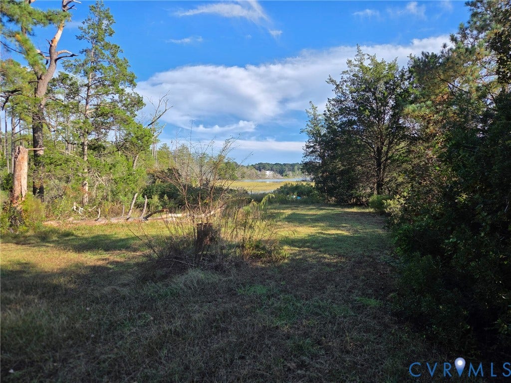 Expansive natural landscape with varied mature trees and grassy areas