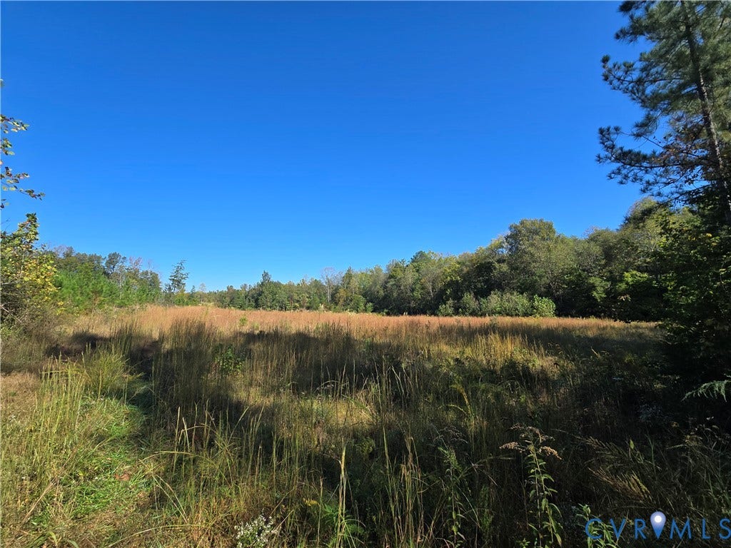 Lot 8 Saw Mill Road, Sawmill, Buckingham, VA 23901 Expansive parcel of land featuring open meadow terrain, native grasses, and mature perimeter trees