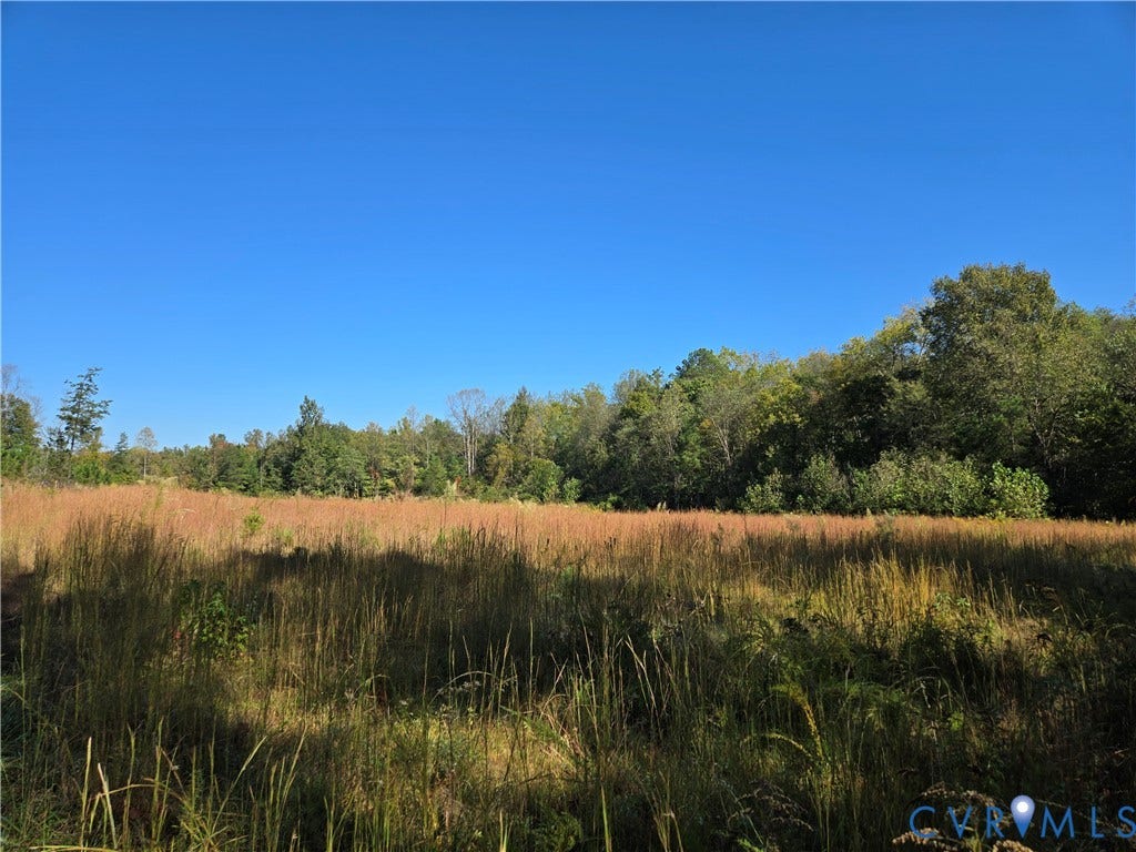 Lot 8 Saw Mill Road, Sawmill, Buckingham, VA 23901 Expansive acreage featuring tall native grasses and mature perimeter forest