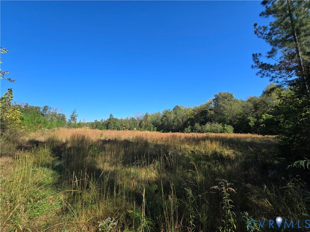 Lot 8 Saw Mill Road, Sawmill, Buckingham, VA 23901 Expansive acreage featuring open grassy fields bordered by mature pine and deciduous trees
