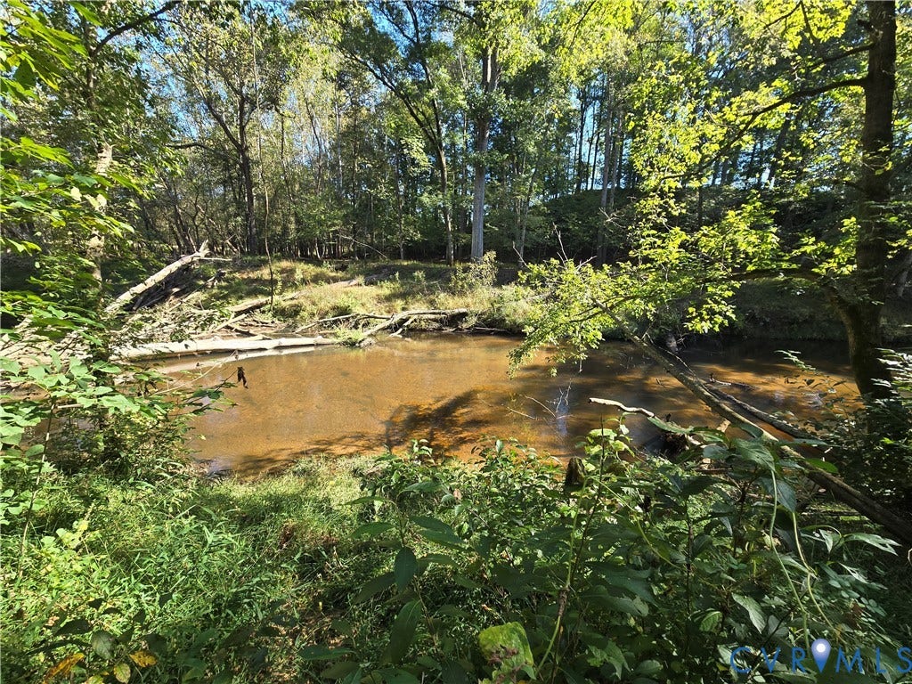 Lot 7 Saw Mill Road, Sawmill, Buckingham, VA 23901 Natural creek frontage featuring mature tree canopy and dense native vegetation