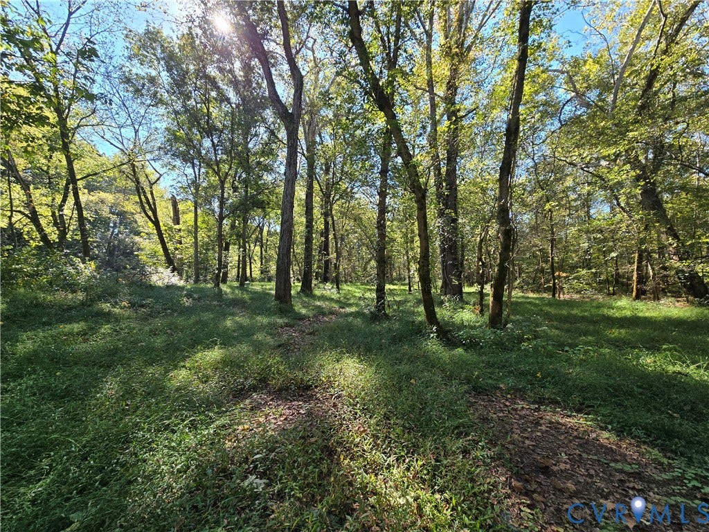 Lot 7 Saw Mill Road, Sawmill, Buckingham, VA 23901 Wooded lot featuring mature hardwood trees and native vegetation