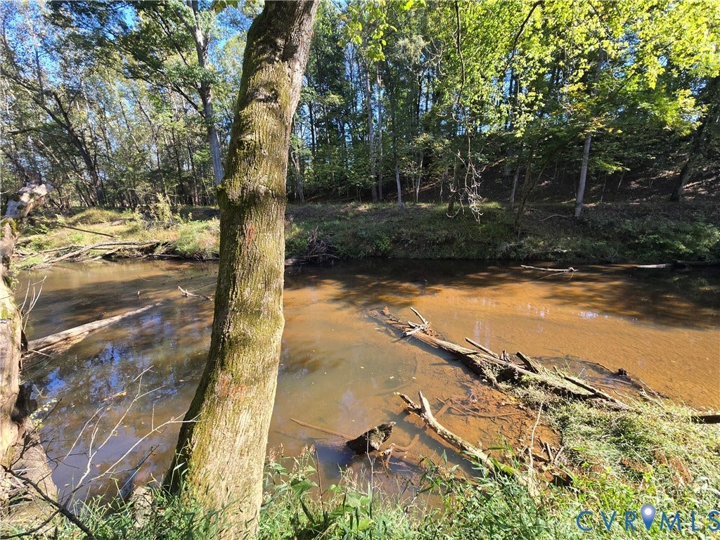 Lot 7 Saw Mill Road, Sawmill, Buckingham, VA 23901 Natural creek featuring wooded surroundings, native trees, and earthen banks