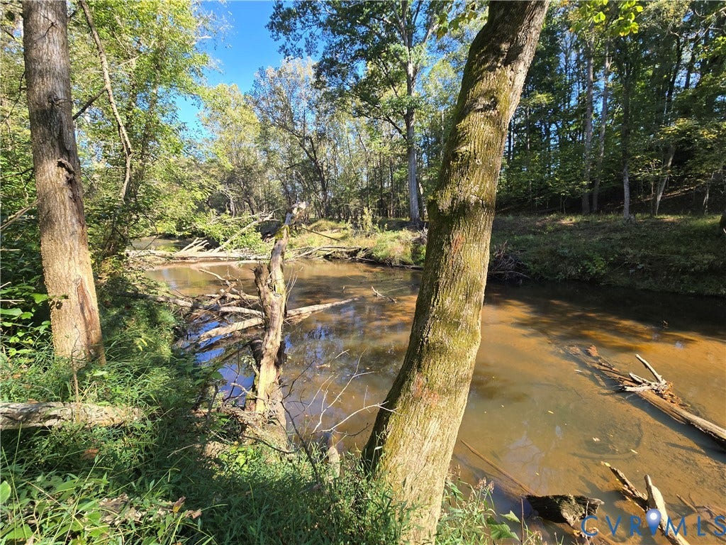Lot 7 Saw Mill Road, Sawmill, Buckingham, VA 23901 Natural creek frontage featuring mature tree canopy and dense vegetation along the water's edge