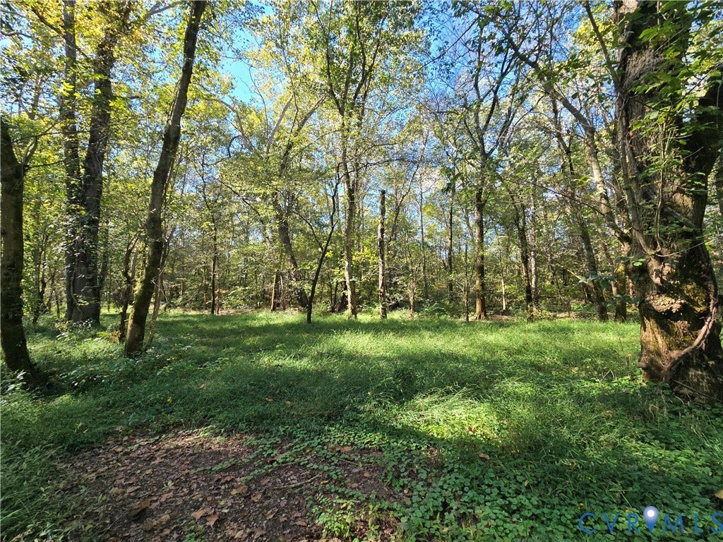 Lot 7 Saw Mill Road, Sawmill, Buckingham, VA 23901 Wooded acreage featuring mature timber and natural ground cover