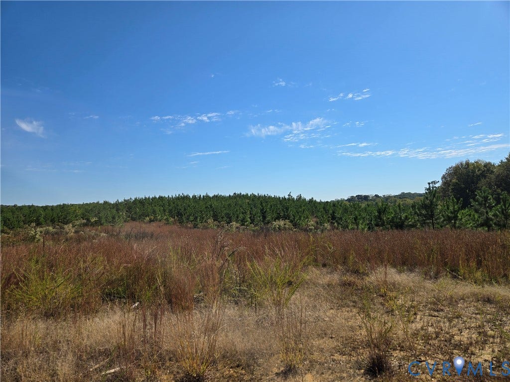 Lot 7 Saw Mill Road, Sawmill, Buckingham, VA 23901 Expansive undeveloped land featuring native grasses and a dense perimeter of pine trees