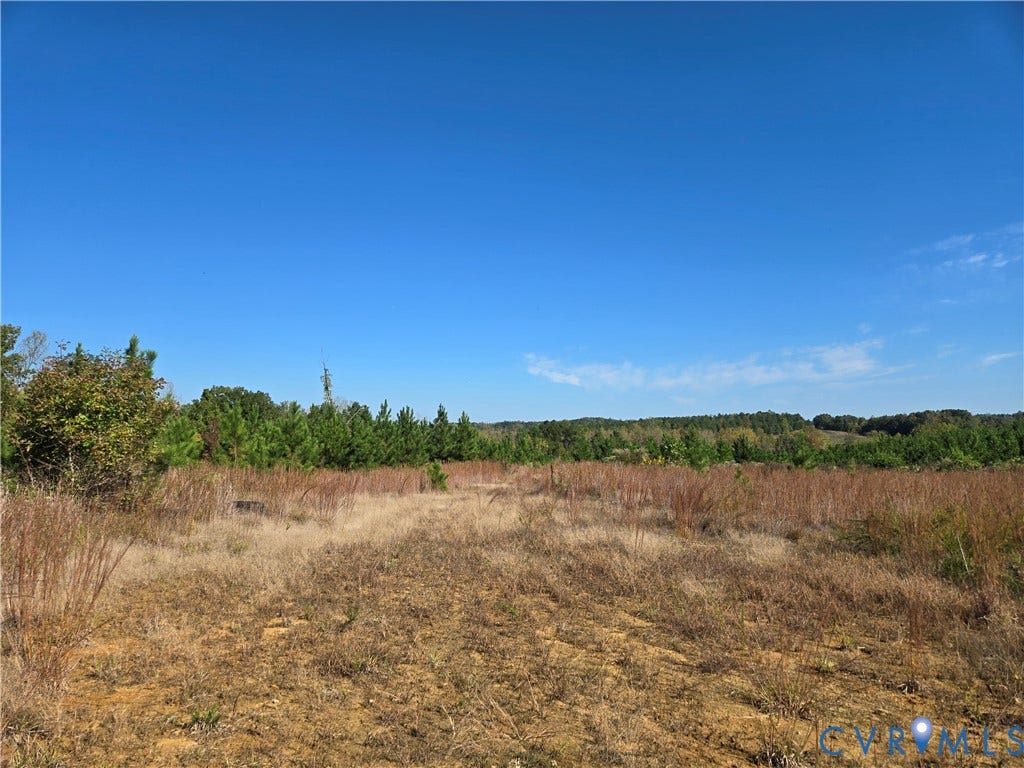 Lot 7 Saw Mill Road, Sawmill, Buckingham, VA 23901 Expansive open acreage featuring native grasses, cleared terrain, and a mature treeline backdrop