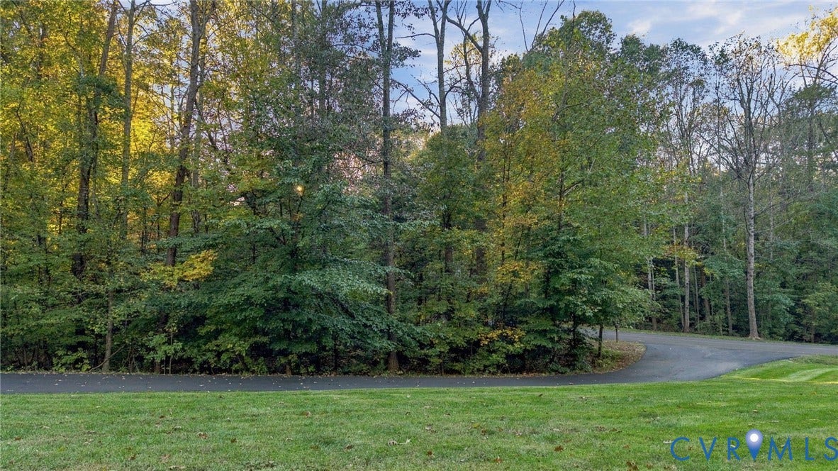1954 Norwood Creek Terrace, Powhatan, VA 23139 Driveway